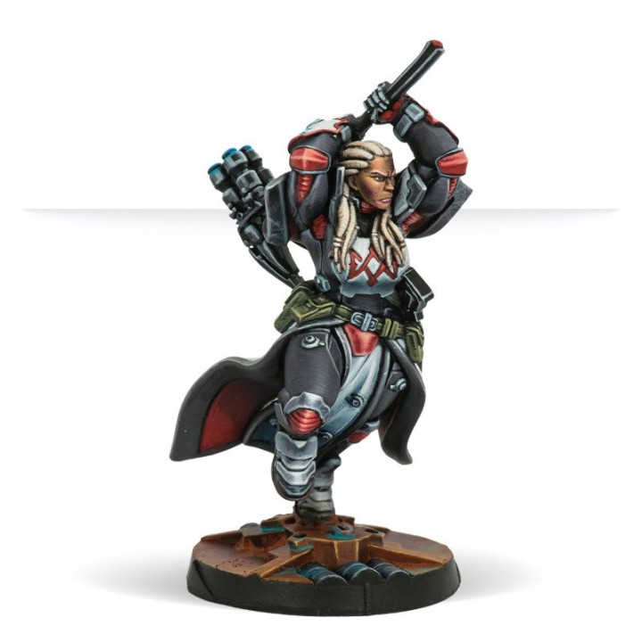 Infinity - Dire Foes Mission Pack 12: Troubled Theft