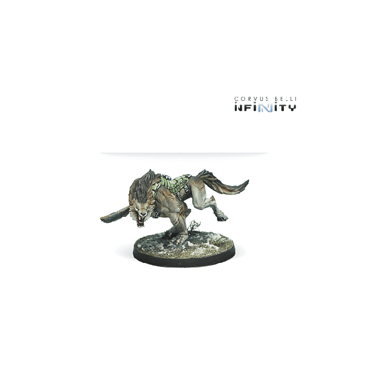 Infinity - Assault Pack: Antipode