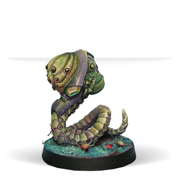 Infinity - Support Pack: Combined Army