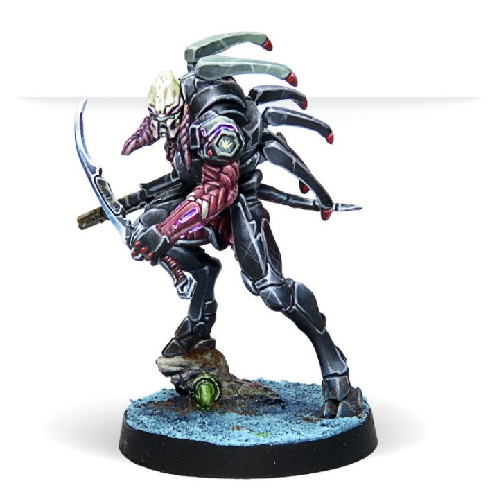 Infinity - Action Pack : Shasvastii