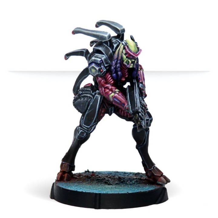 Infinity - Action Pack : Shasvastii