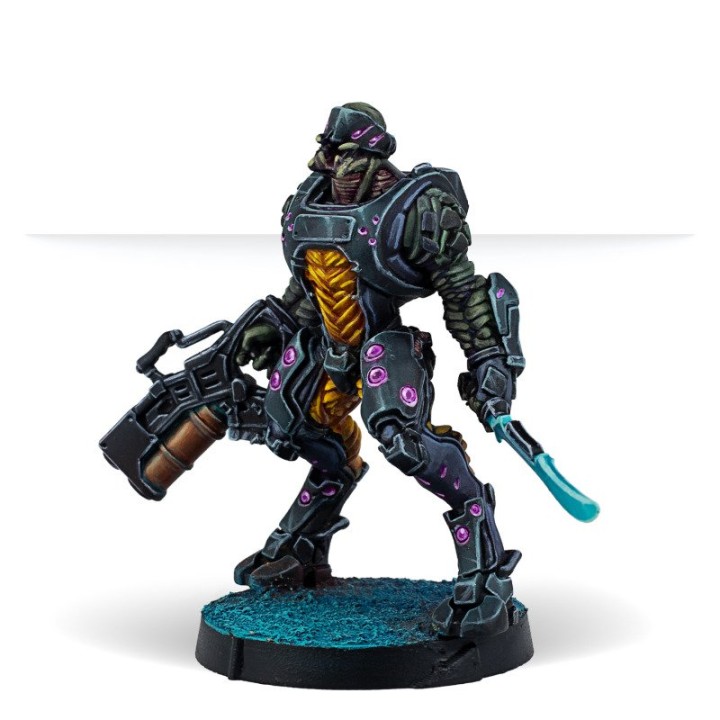 Infinity - Expansion Pack Gamma: Shasvastii