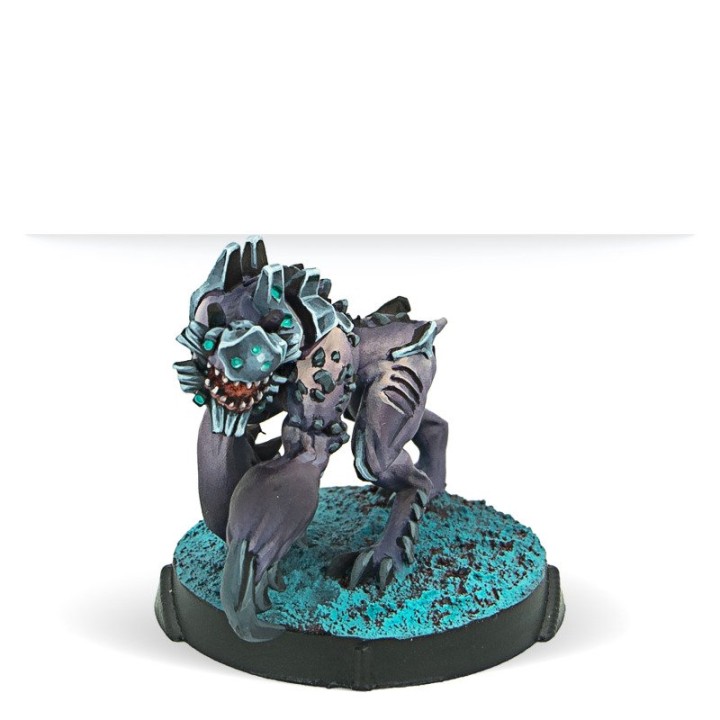 Infinity - Taigha Creatures