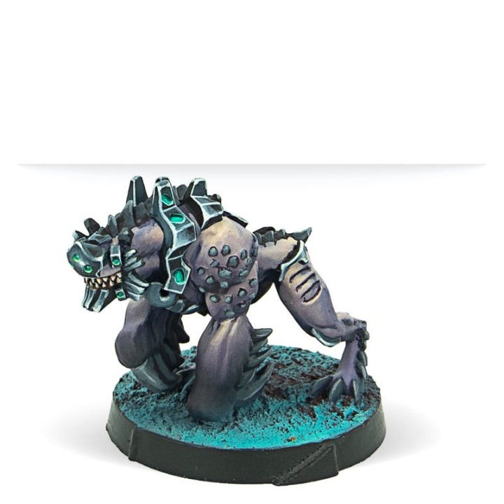 Infinity - Taigha Creatures