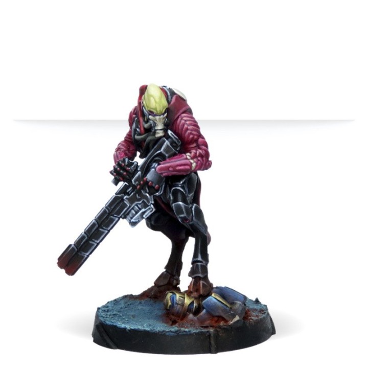 Infinity - Expansion Pack Alpha: Shasvastii