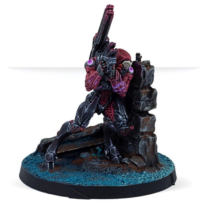 Infinity - Expansion Pack Alpha: Shasvastii