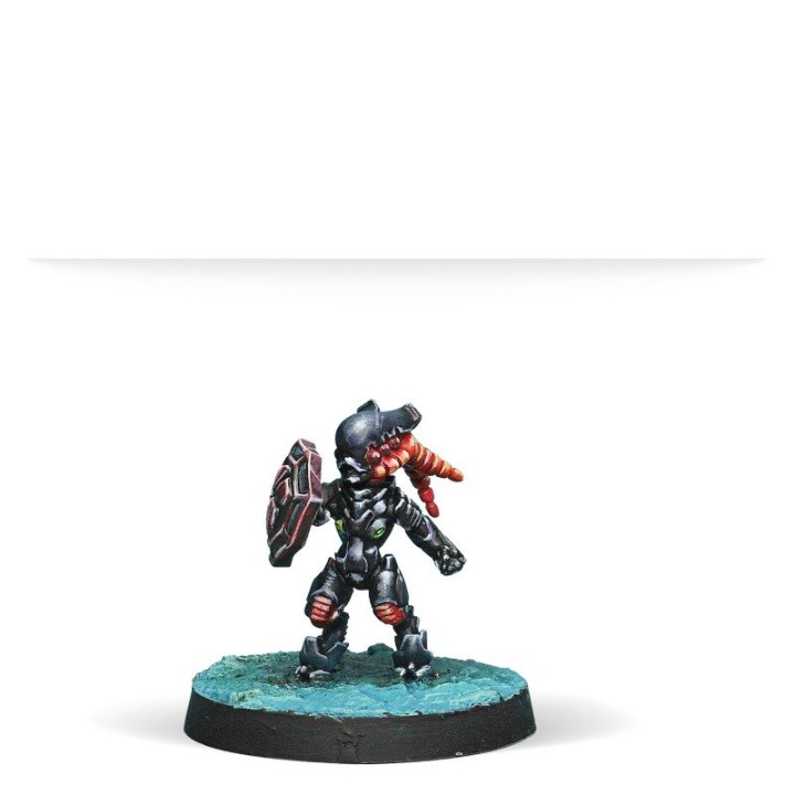 Infinity - Fireteam Pack: Morat