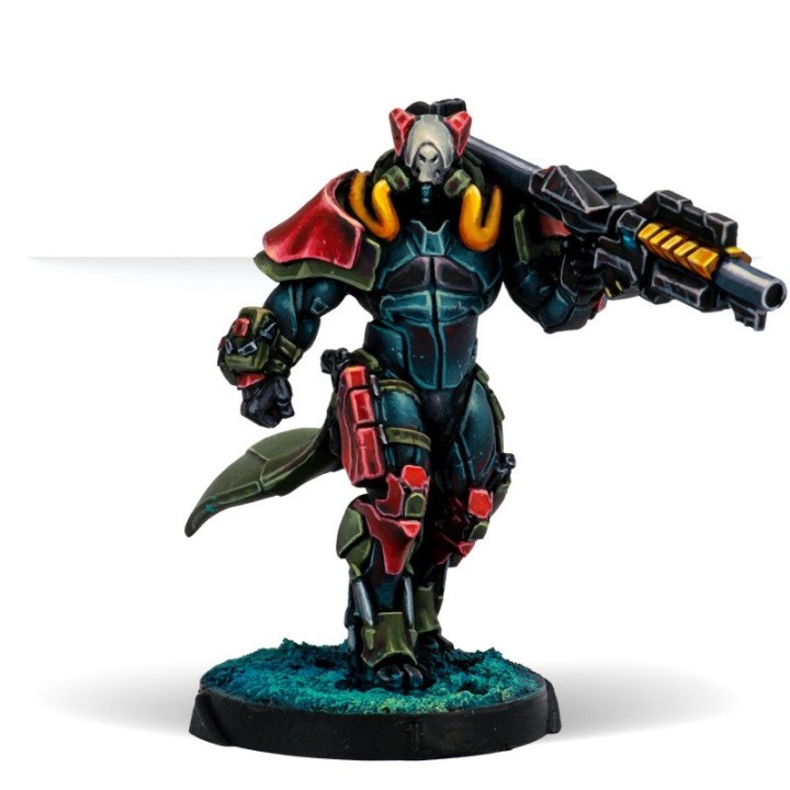 Infinity - Rodoks; Armed Imposition Detachment