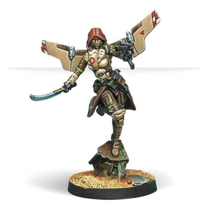 Infinity - Bashi Bazouks