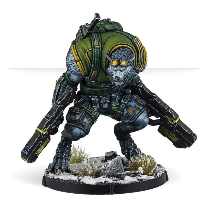 Infinity - Equipe Mirage-5