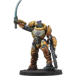 Infinity - Reinf.: Haetae Unit (HMG)