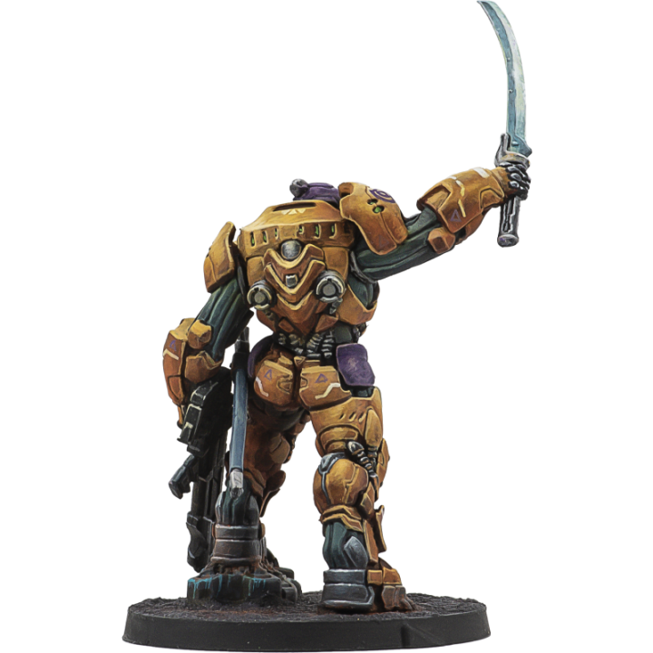 Infinity - Reinf.: Haetae Unit (HMG)