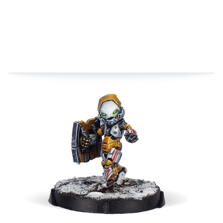 Infinity - Jujak Regiment; Korean Shock Infantry