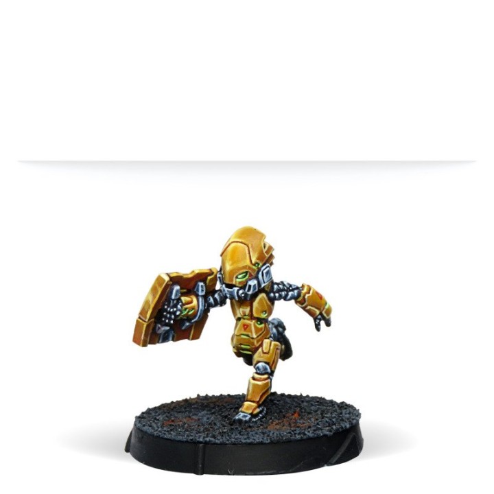 Infinity - Zúyong Invincibles