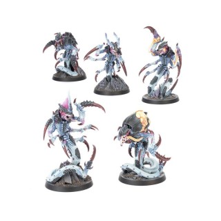 Kill Team: Rôdeurs - Tyranids - kill team