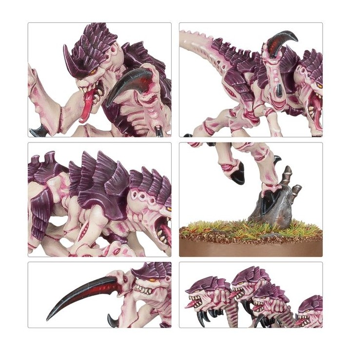 Hormagaunts - Tyranids - wh40k