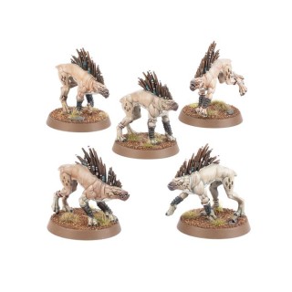 Chiens Kroots - T'au Empire - wh40k