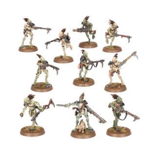 Carnivores Kroots - T'au Empire - wh40k
