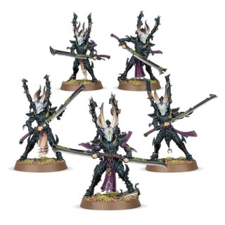 Incubes - Drukhari - wh40k