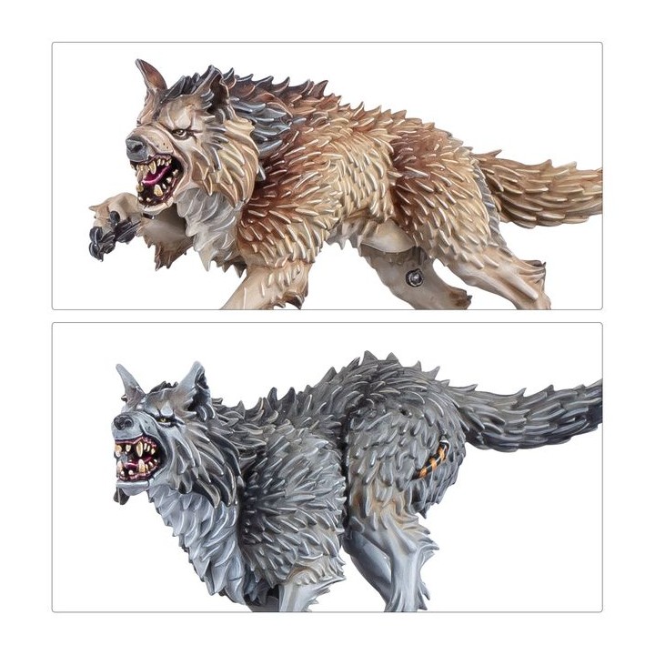 Preneurs de Têtes Gardes Loups - Space Wolves - wh40k