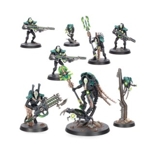 Kill Team: Cercle Hiérotek - Necrons - kill team