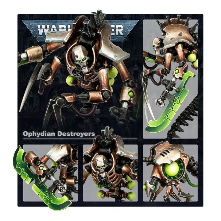 Destroyers Ophydiens - Necrons - wh40k